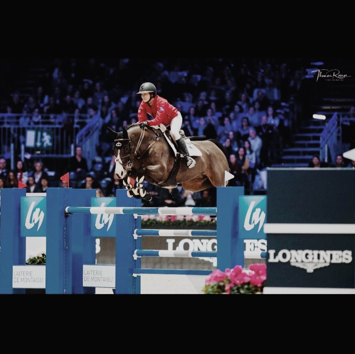 Reed Kessler: cavalière // show jumping competitor image